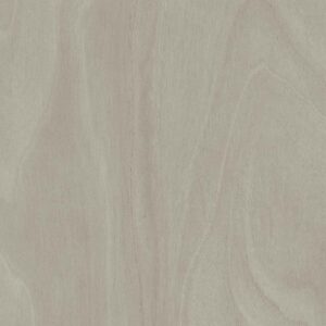 Saviola P81 Leonardo