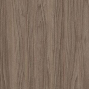 Saviola P24 Vanguard